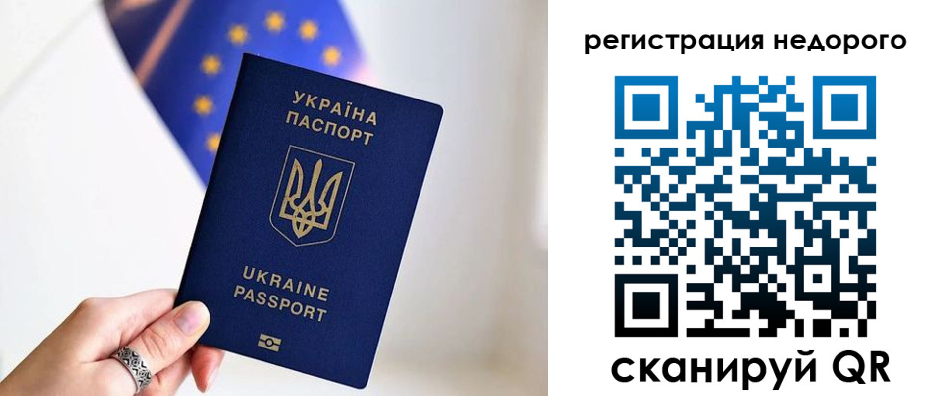 прописка 2025 в Курчалом