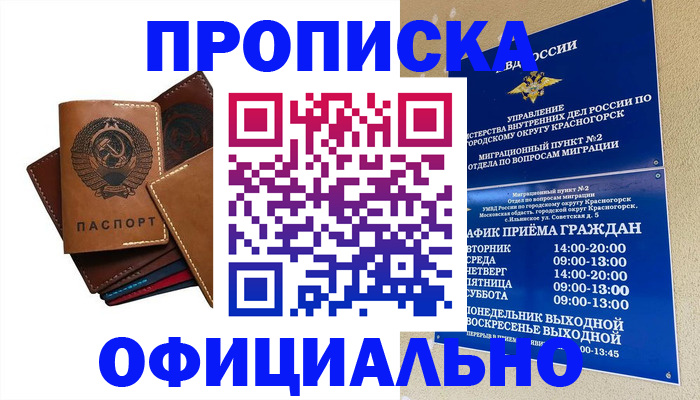 временная прописка в Курчалом